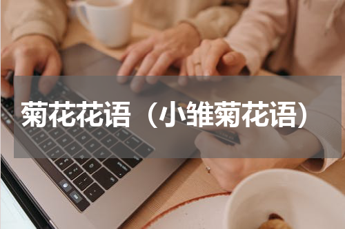 菊花花语（小雏菊花语）