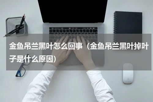 金鱼吊兰黑叶怎么回事（金鱼吊兰黑叶掉叶子是什么原因）