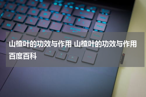 山楂叶的功效与作用 山楂叶的功效与作用百度百科