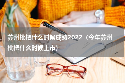 苏州枇杷什么时候成熟2022（今年苏州枇杷什么时候上市）