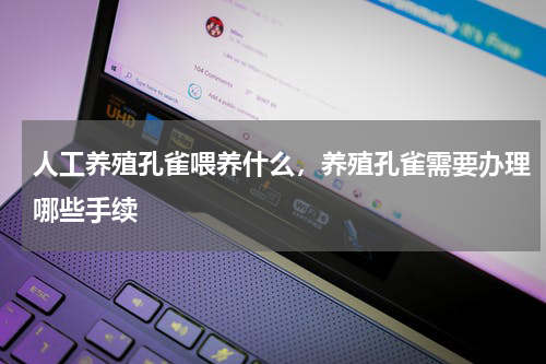 人工养殖孔雀喂养什么，养殖孔雀需要办理哪些手续