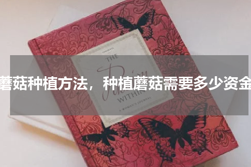 蘑菇种植方法，种植蘑菇需要多少资金