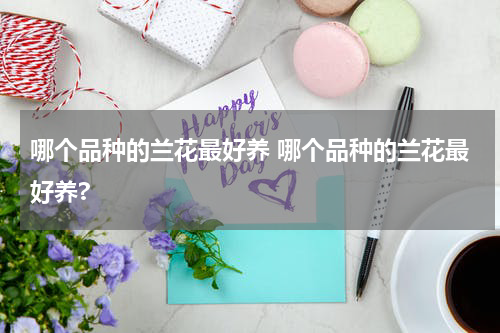 哪个品种的兰花最好养 哪个品种的兰花最好养?
