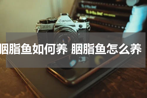 胭脂鱼如何养 胭脂鱼怎么养