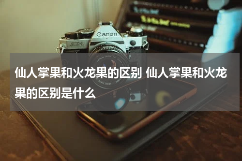 仙人掌果和火龙果的区别 仙人掌果和火龙果的区别是什么