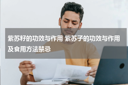 紫苏籽的功效与作用 紫苏子的功效与作用及食用方法禁忌