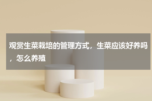 观赏生菜栽培的管理方式，生菜应该好养吗，怎么养殖