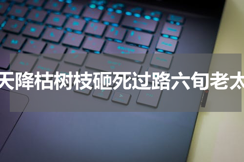 天降枯树枝砸死过路六旬老太