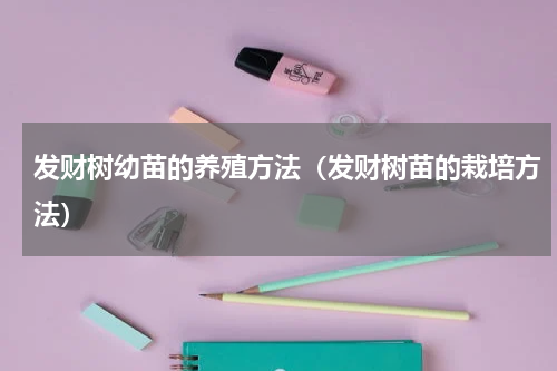 发财树幼苗的养殖方法（发财树苗的栽培方法）
