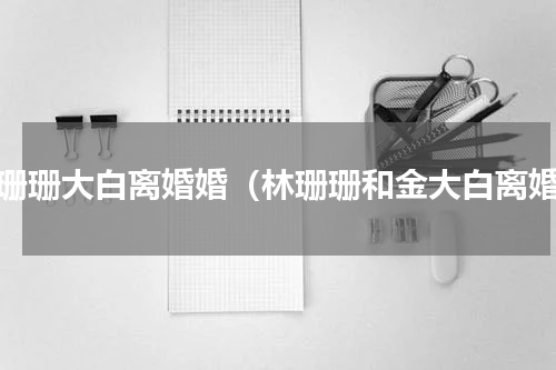 林珊珊大白离婚婚（林珊珊和金大白离婚）