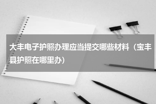 大丰电子护照办理应当提交哪些材料（宝丰县护照在哪里办）