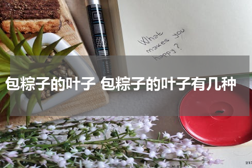 包粽子的叶子 包粽子的叶子有几种