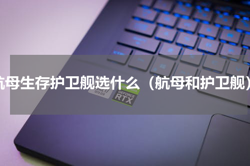 航母生存护卫舰选什么（航母和护卫舰）