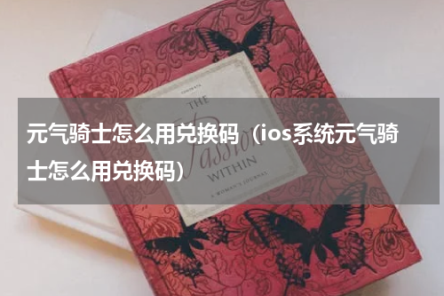元气骑士怎么用兑换码（ios系统元气骑士怎么用兑换码）