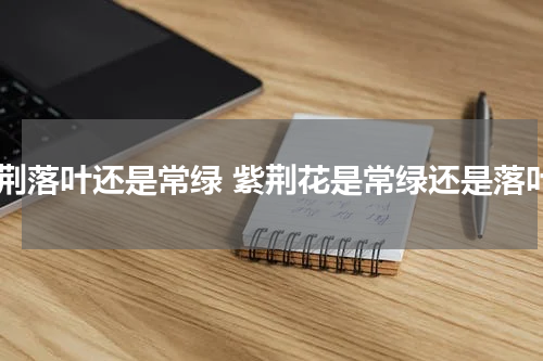 紫荆落叶还是常绿 紫荆花是常绿还是落叶