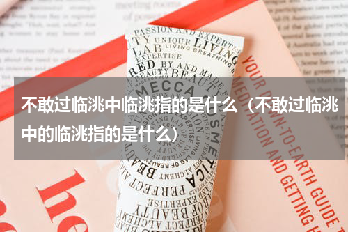 不敢过临洮中临洮指的是什么（不敢过临洮中的临洮指的是什么）