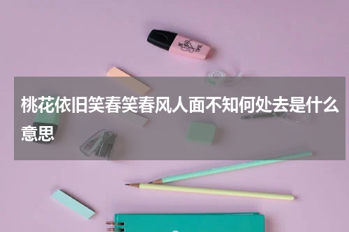 桃花依旧笑春笑春风人面不知何处去是什么意思