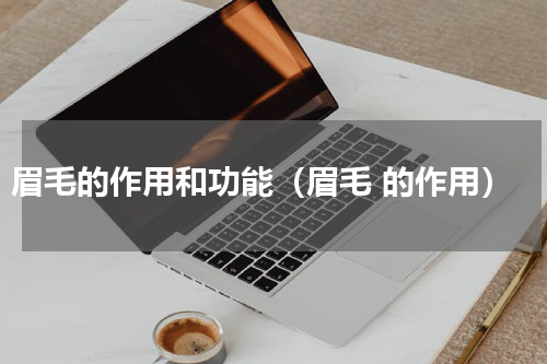 眉毛的作用和功能（眉毛 的作用）