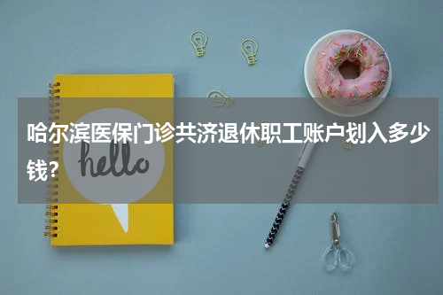 哈尔滨医保门诊共济退休职工账户划入多少钱？