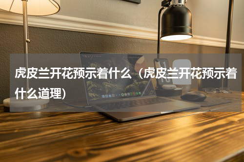 虎皮兰开花预示着什么（虎皮兰开花预示着什么道理）
