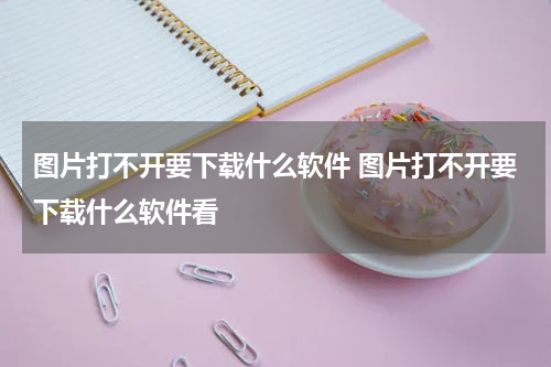 图片打不开要下载什么软件 图片打不开要下载什么软件看
