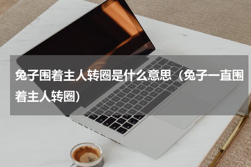 兔子围着主人转圈是什么意思（兔子一直围着主人转圈）