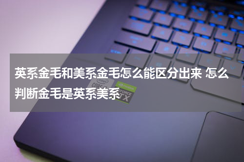英系金毛和美系金毛怎么能区分出来 怎么判断金毛是英系美系