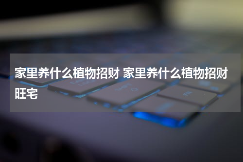 家里养什么植物招财 家里养什么植物招财旺宅