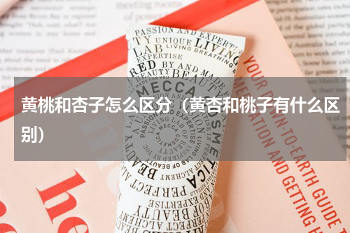 黄桃和杏子怎么区分（黄杏和桃子有什么区别）