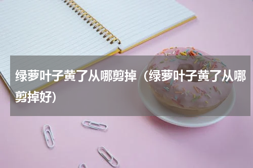 绿萝叶子黄了从哪剪掉（绿萝叶子黄了从哪剪掉好）