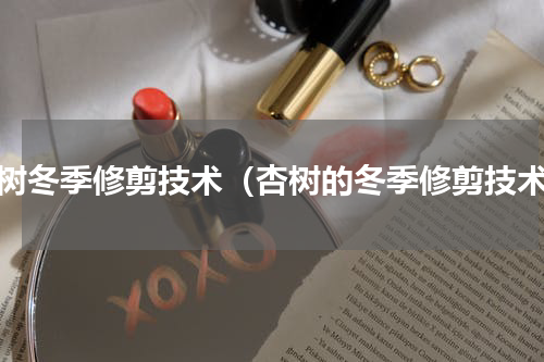 杏树冬季修剪技术（杏树的冬季修剪技术）