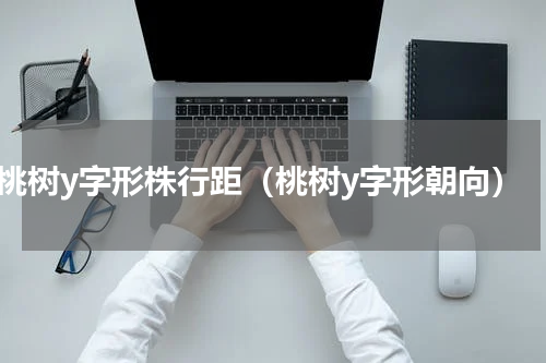 桃树y字形株行距（桃树y字形朝向）