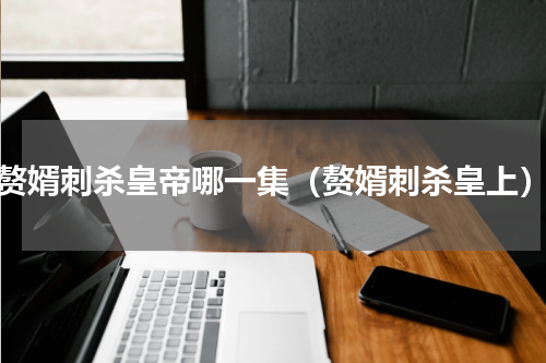 赘婿刺杀皇帝哪一集（赘婿刺杀皇上）