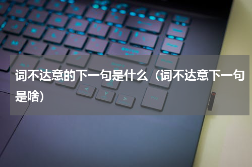 词不达意的下一句是什么（词不达意下一句是啥）