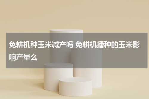 免耕机种玉米减产吗 免耕机播种的玉米影响产量么
