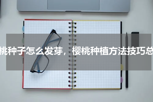 樱桃种子怎么发芽，樱桃种植方法技巧总结