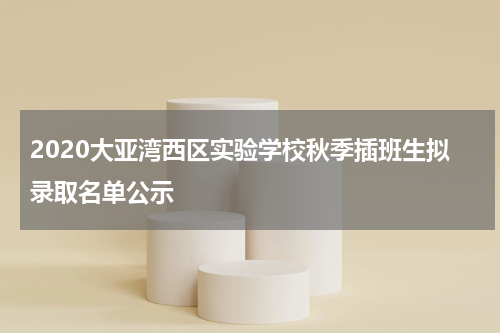 2020大亚湾西区实验学校秋季插班生拟录取名单公示