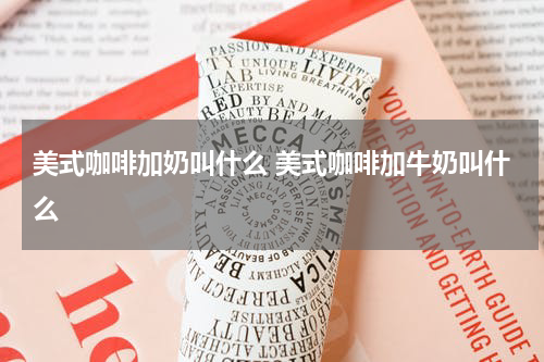 美式咖啡加奶叫什么 美式咖啡加牛奶叫什么