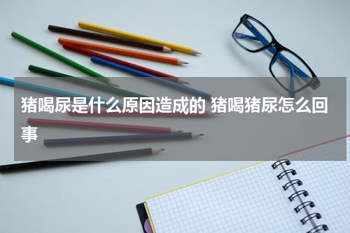 猪喝尿是什么原因造成的 猪喝猪尿怎么回事