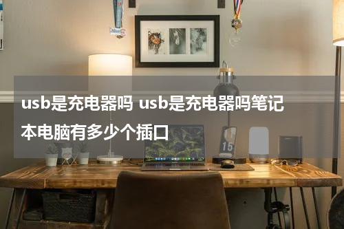 usb是充电器吗 usb是充电器吗笔记本电脑有多少个插口