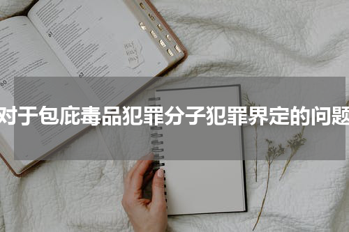对于包庇毒品犯罪分子犯罪界定的问题