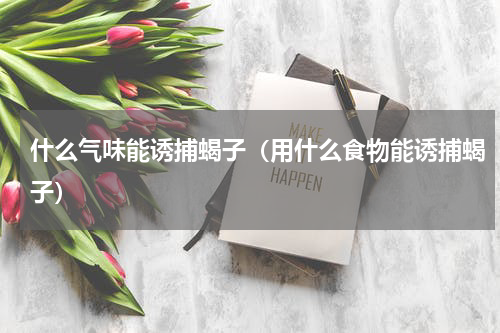 什么气味能诱捕蝎子（用什么食物能诱捕蝎子）