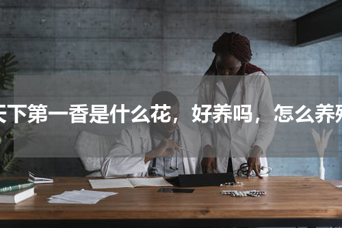 天下第一香是什么花，好养吗，怎么养殖