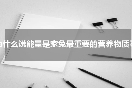 为什么说能量是家兔最重要的营养物质?