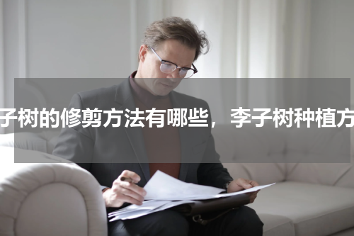 李子树的修剪方法有哪些，李子树种植方法