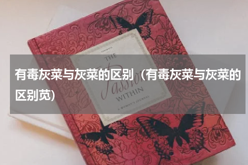 有毒灰菜与灰菜的区别（有毒灰菜与灰菜的区别苋）