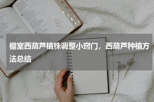 棚室西葫芦植株调整小窍门，西葫芦种植方法总结