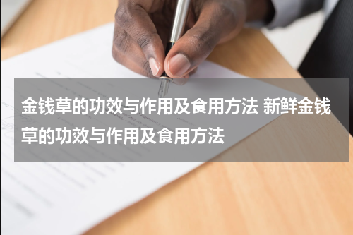 金钱草的功效与作用及食用方法 新鲜金钱草的功效与作用及食用方法