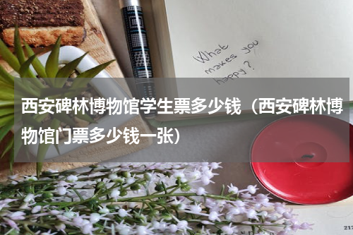 西安碑林博物馆学生票多少钱（西安碑林博物馆门票多少钱一张）
