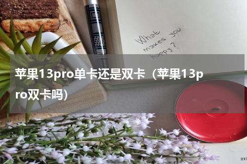 苹果13pro单卡还是双卡（苹果13pro双卡吗）